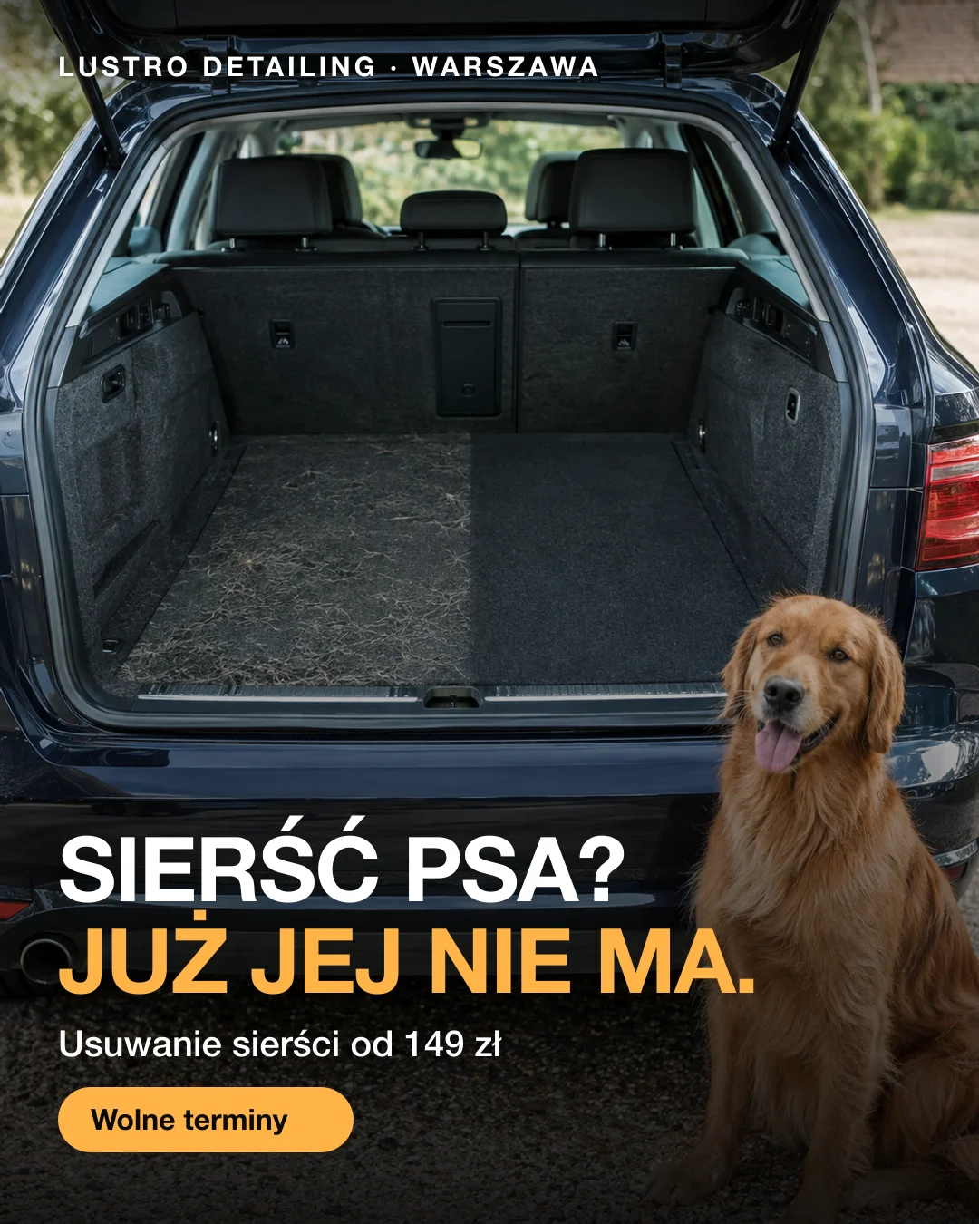 Reklama statyczna, Detailing · Warszawa: „Sierść psa? Już jej nie ma.”