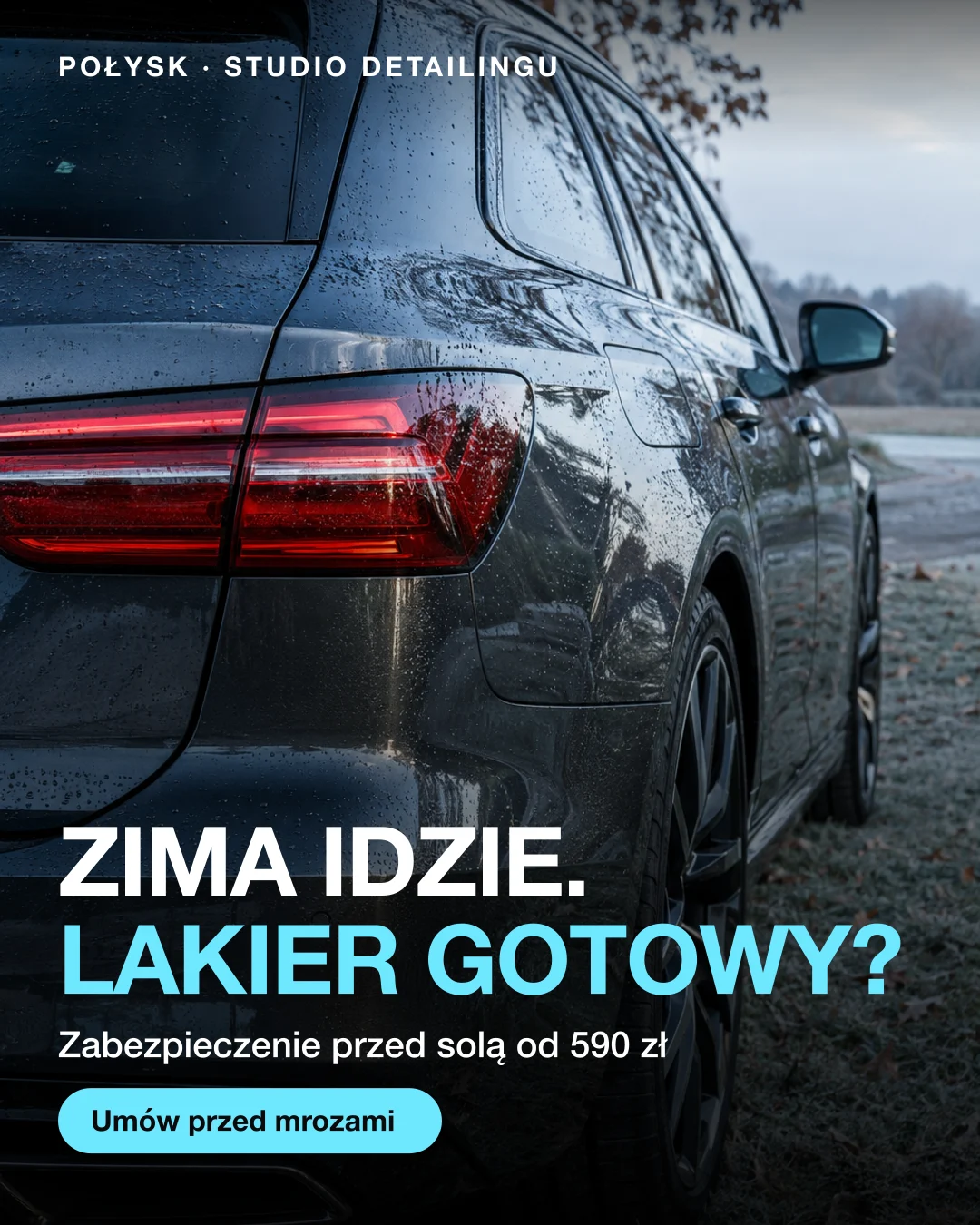 Reklama statyczna, Studio detailingu · Polska: „Zima idzie. Lakier gotowy?”