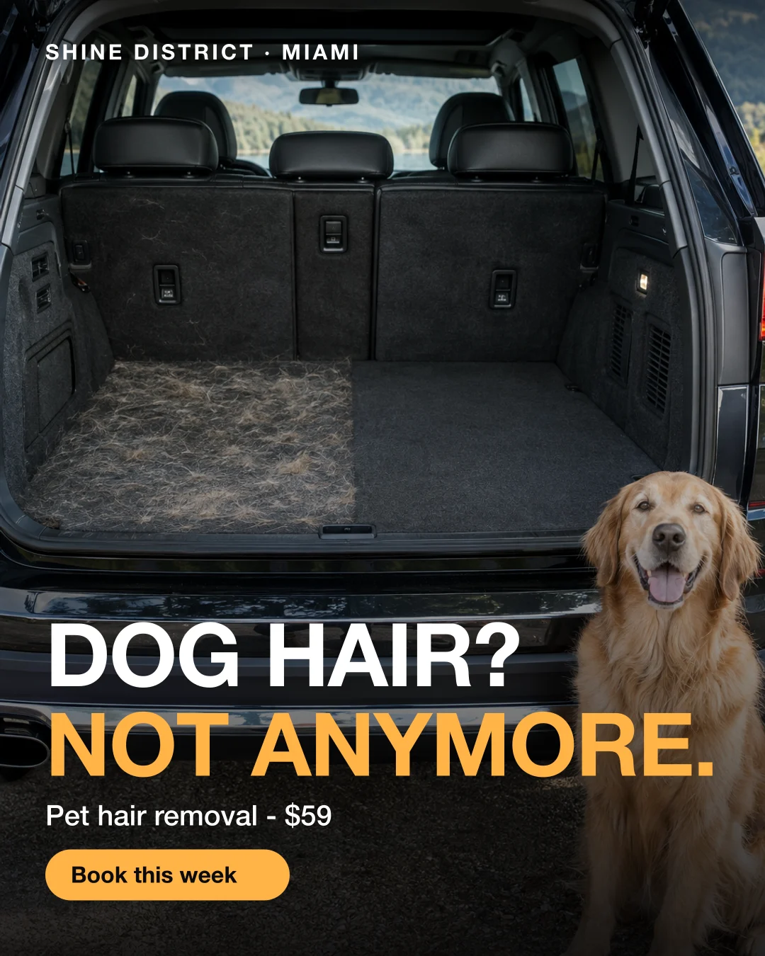 Static ad, Car detailing · Miami, FL: “Dog hair? Not anymore. $59.”